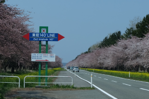 桜と菜の花ロード経緯度交会点看板