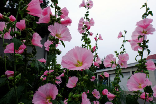 20140713-ta03