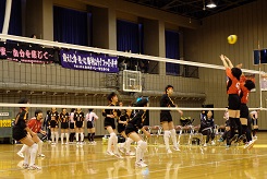 DSCF3302