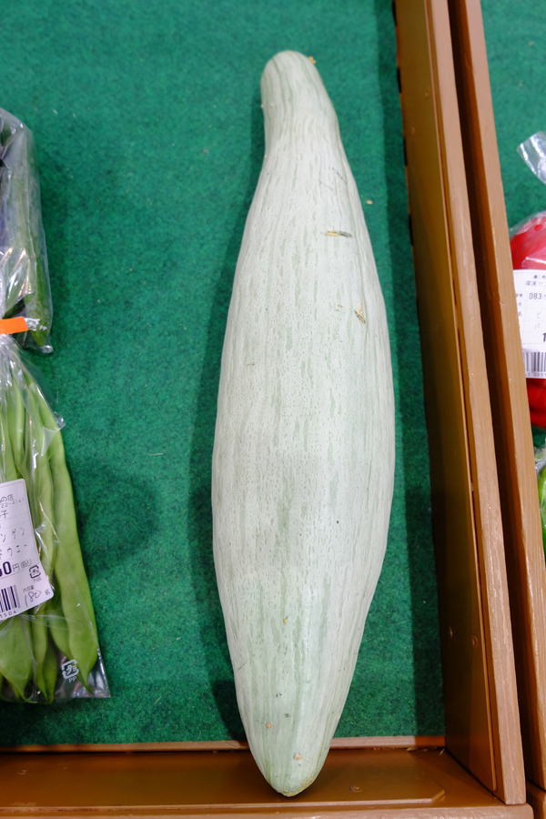 000DSCF8654