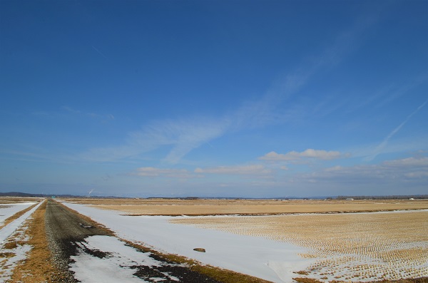 DSC_0540