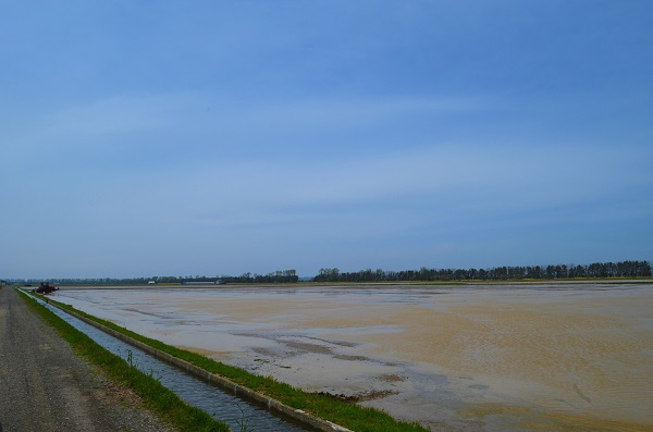 DSC_1016