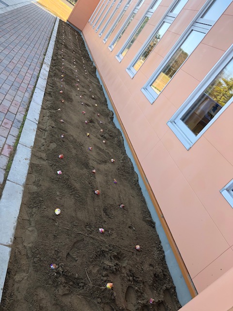 image12
