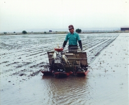 歩行型4条式田植機は、大潟村の営農に大きな変化をもたらしました。　（大潟村干拓博物館蔵）