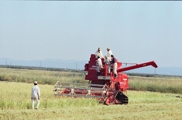 入植当初、稲の収穫に用いられた外国製の大型コンバイン　（大潟村干拓博物館蔵）