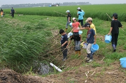 大潟村農村生活体験事業でのザリガニ釣り