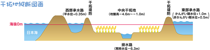 図：干拓地縦断図面