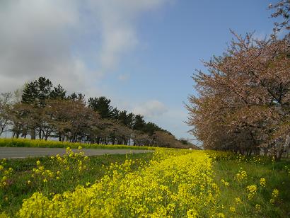 2011年5月9日