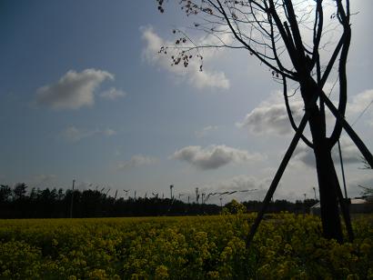 2011年5月9日 ミニSL会場