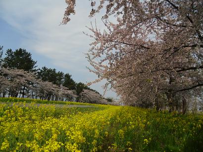 2011年5月7日