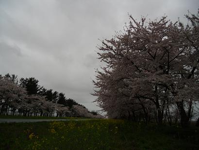 2011年5月2日