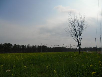 2011年4月29日 ミニSL会場