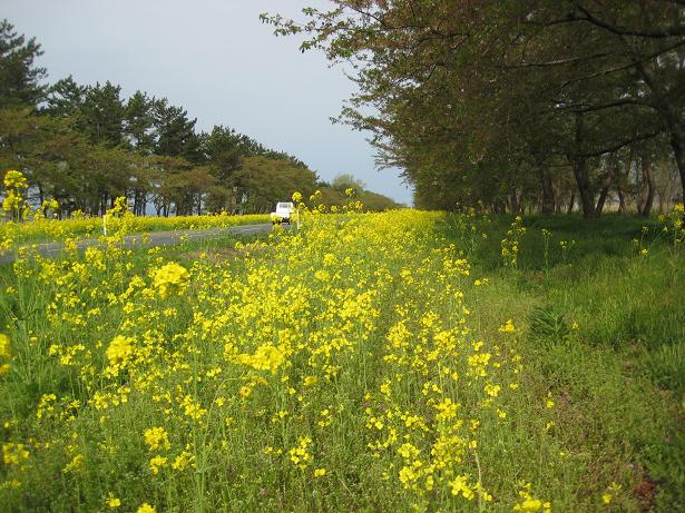 2012年5月6日