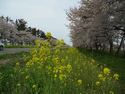 2012年5月2日