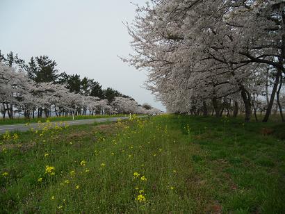 2012年4月30日