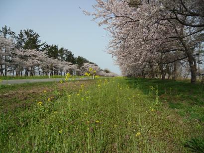 2012年4月29日