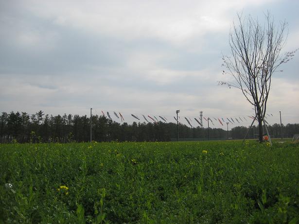 2012年4月26日 ミニSL会場