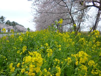 2013年5月6日