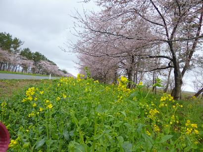 2013年5月2日