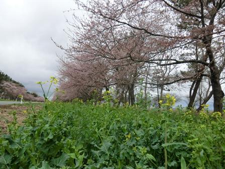 2013年5月1日