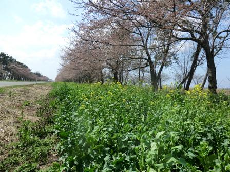 2013年4月30日