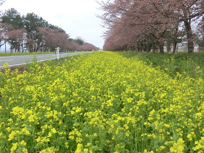 2014年4月23日