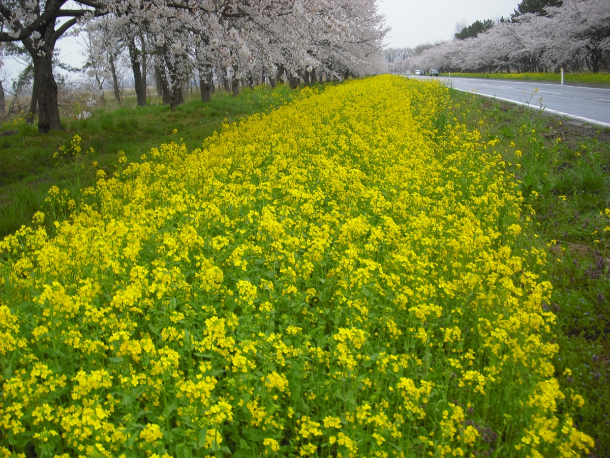 2015年4月22日