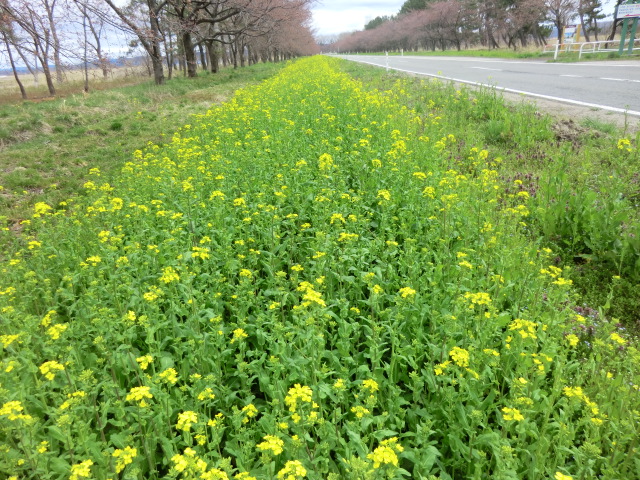 2015年4月14日