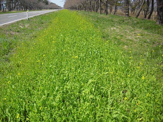 2015年4月9日