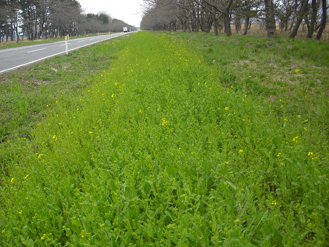 2015年4月8日