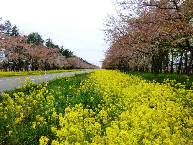 2016年5月2日