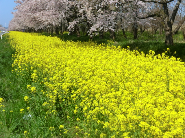 2016年4月27日