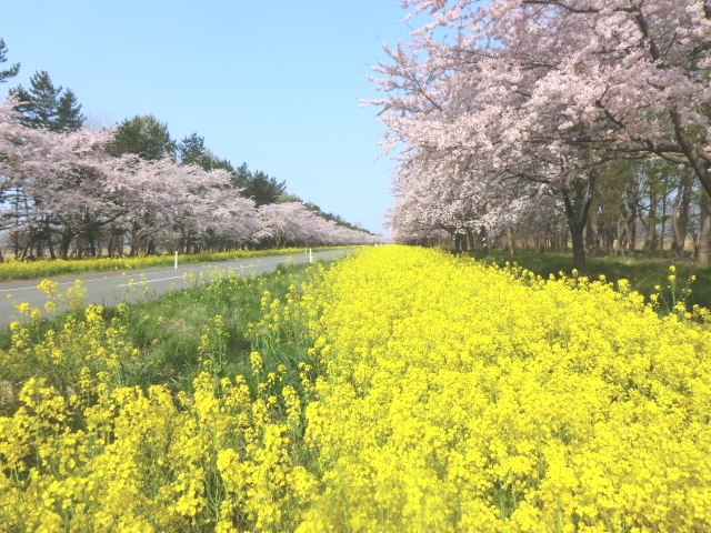 2016年4月26日