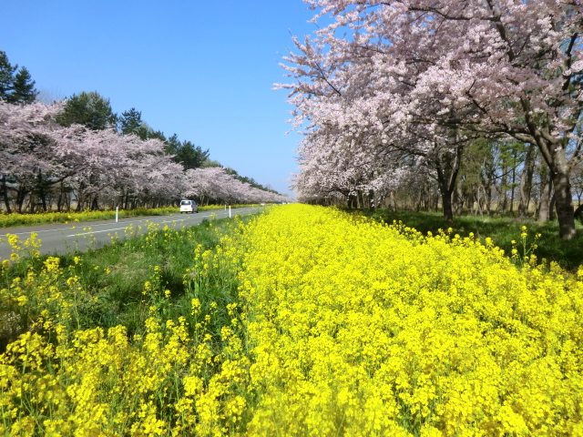 2016年4月25日