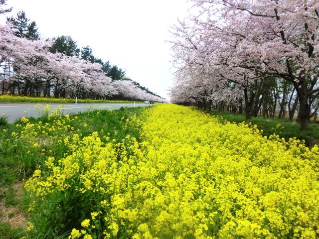 2016年4月23日