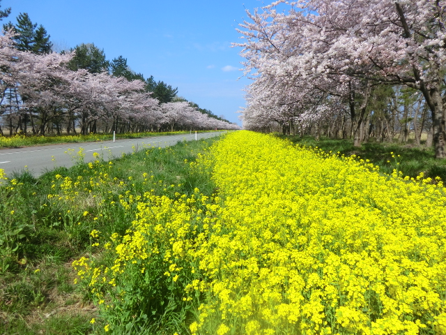 2016年4月22日