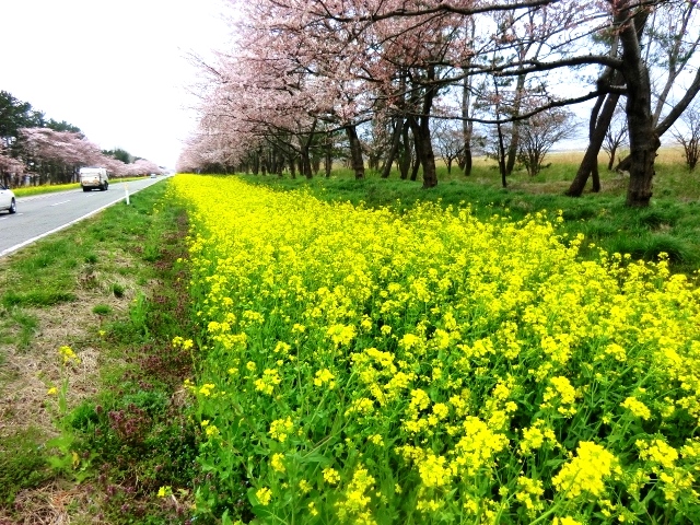 2016年4月21日