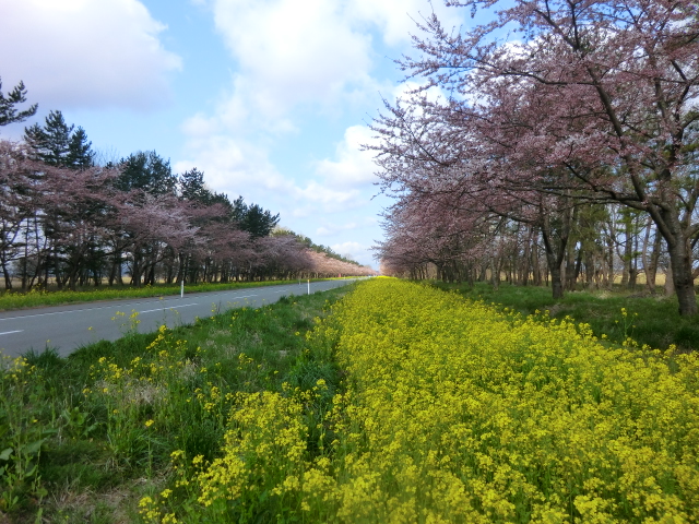 2016年4月20日