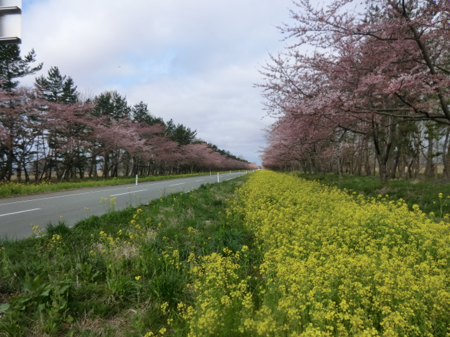 2016年4月19日