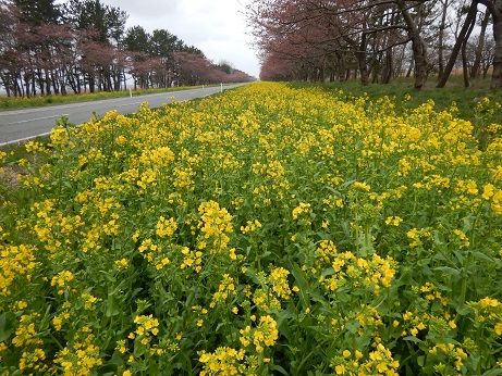 2016年4月18日