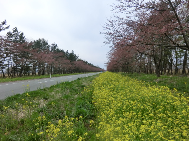 2016年4月17日