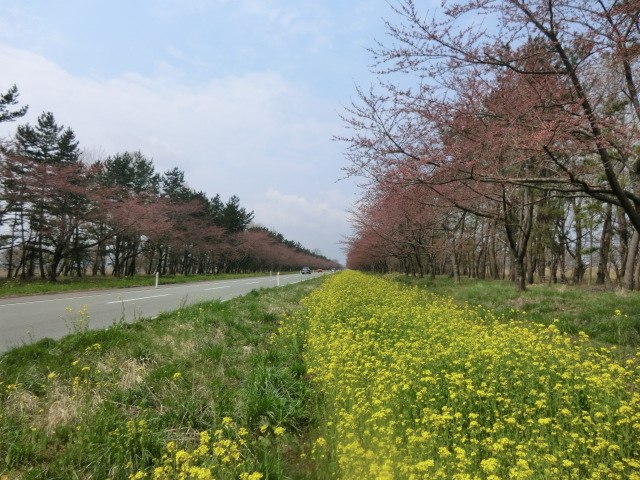 2016年4月16日