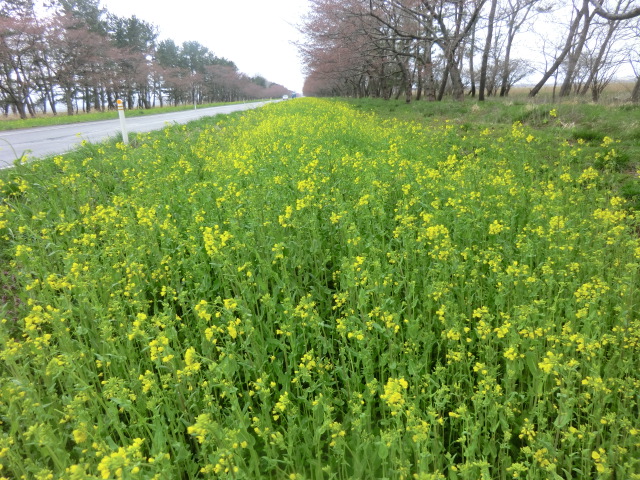 2016年4月15日