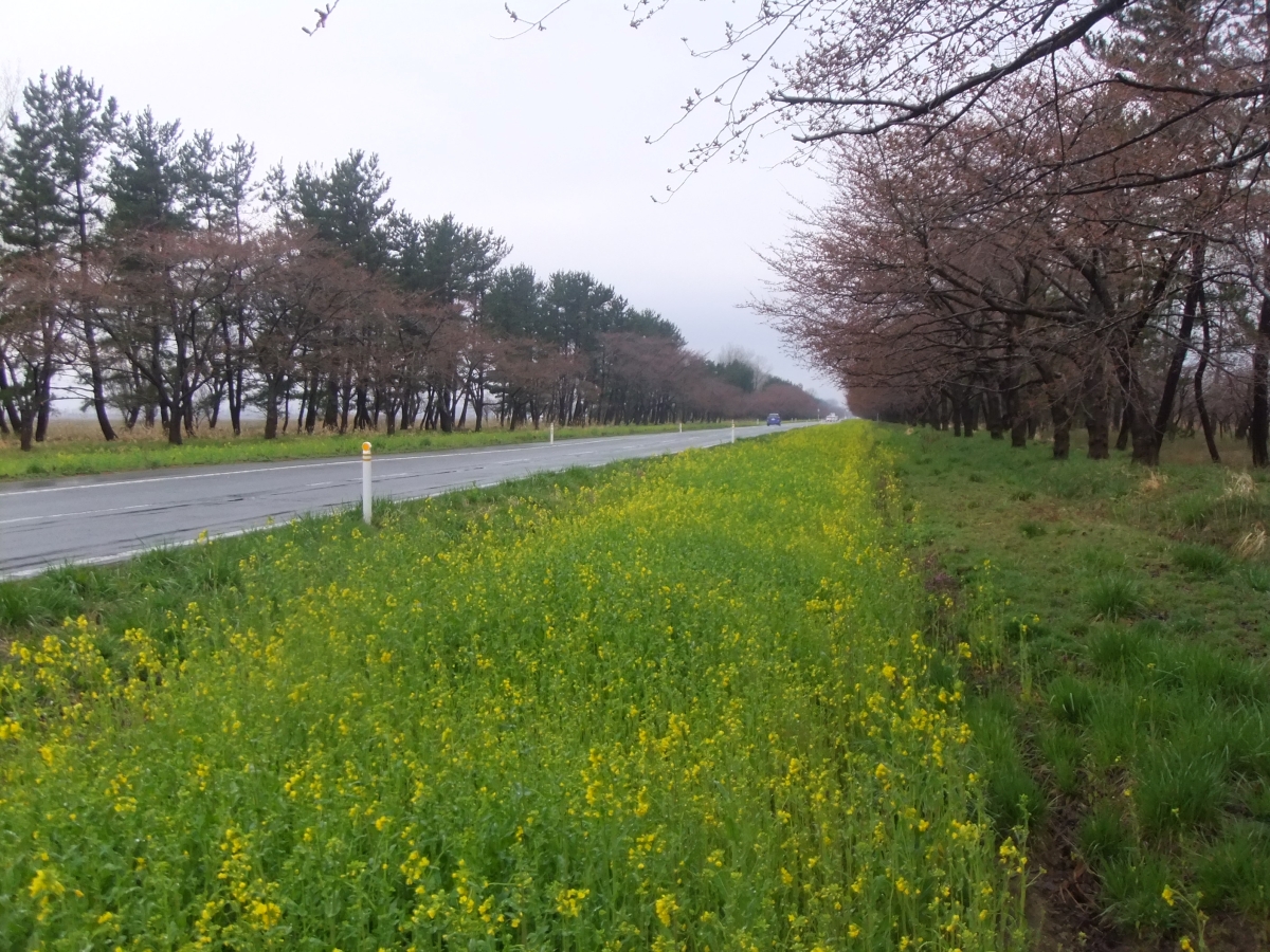 2016年4月14日