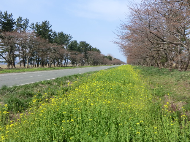 2016年4月13日