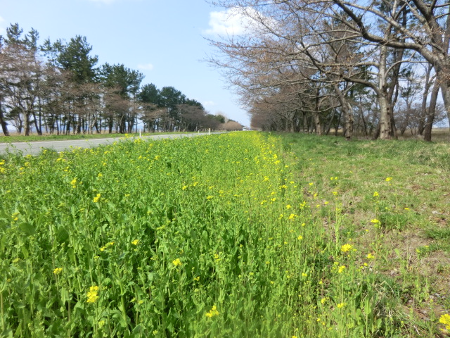 2016年4月12日