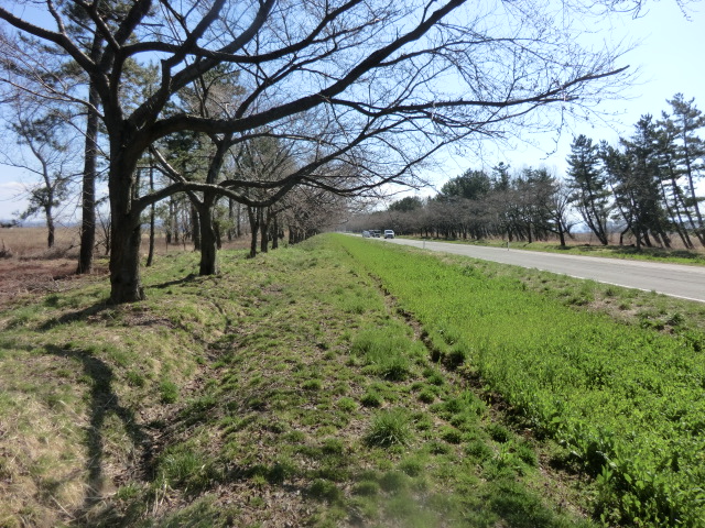 2016年4月5日