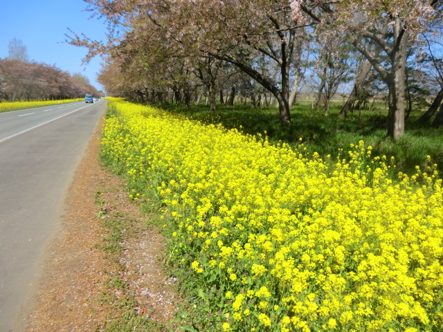 2017年5月4日