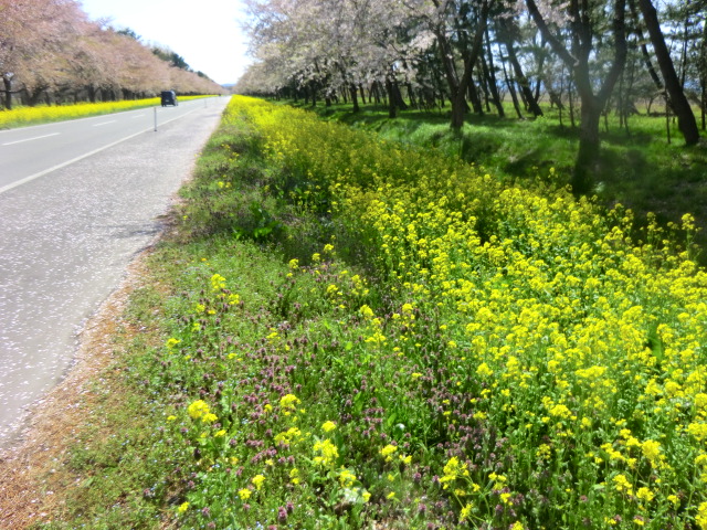 2017年5月3日