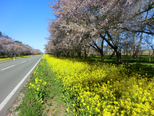 2017年5月2日